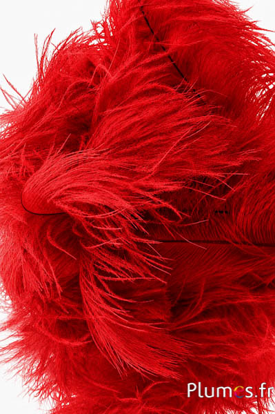 Struisvogel - 30-40 cm - rood